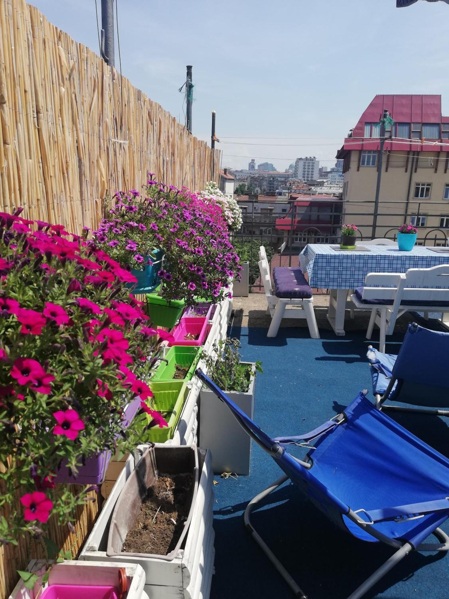 Hostel Inn Downtown 베오그라드 외부 사진